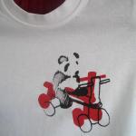 panda on red tricycle - tod..